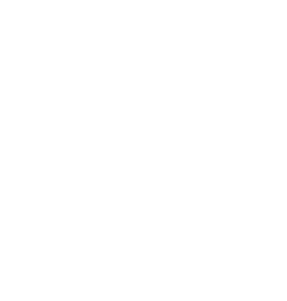 Castlewood Logo